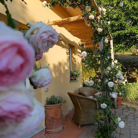 Il Crinale Villa Subbiano Kamer foto