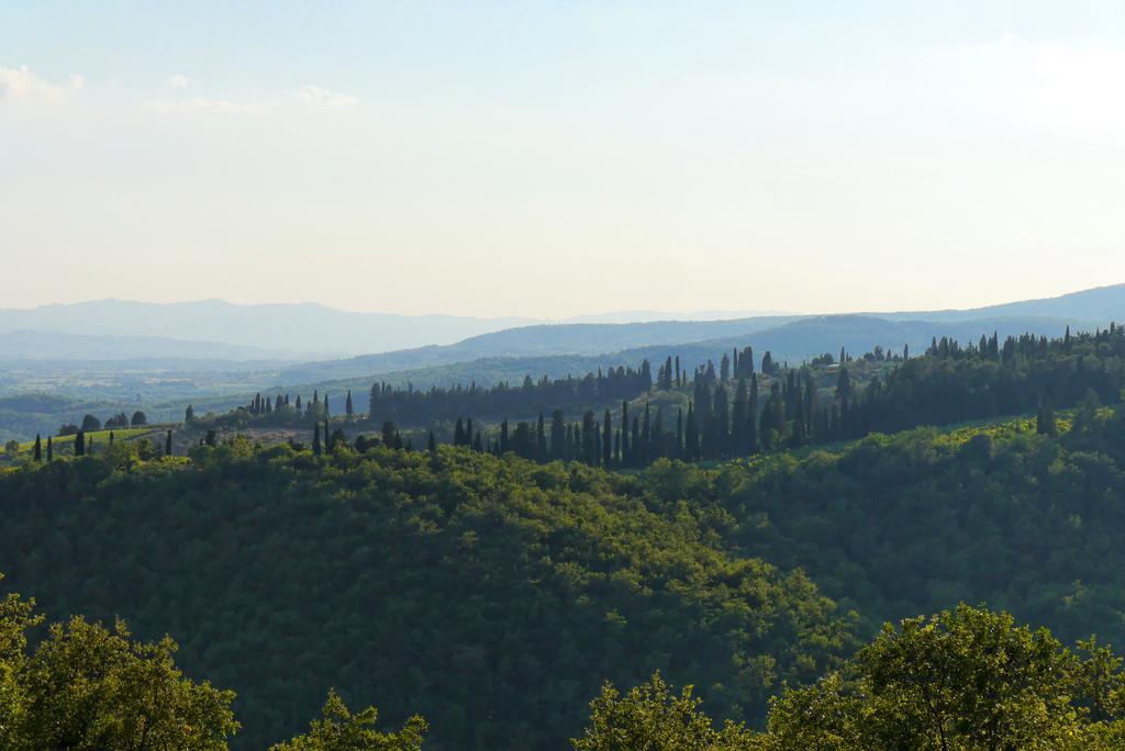Il Crinale Villa Subbiano Kamer foto